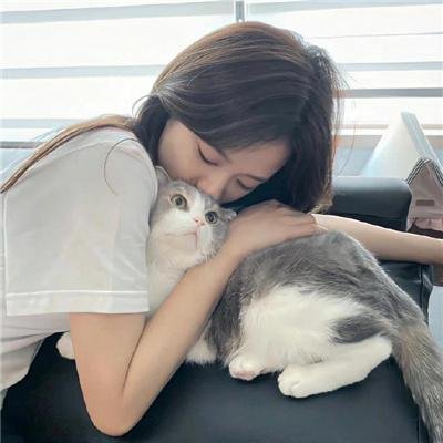 好汉两个半第四季